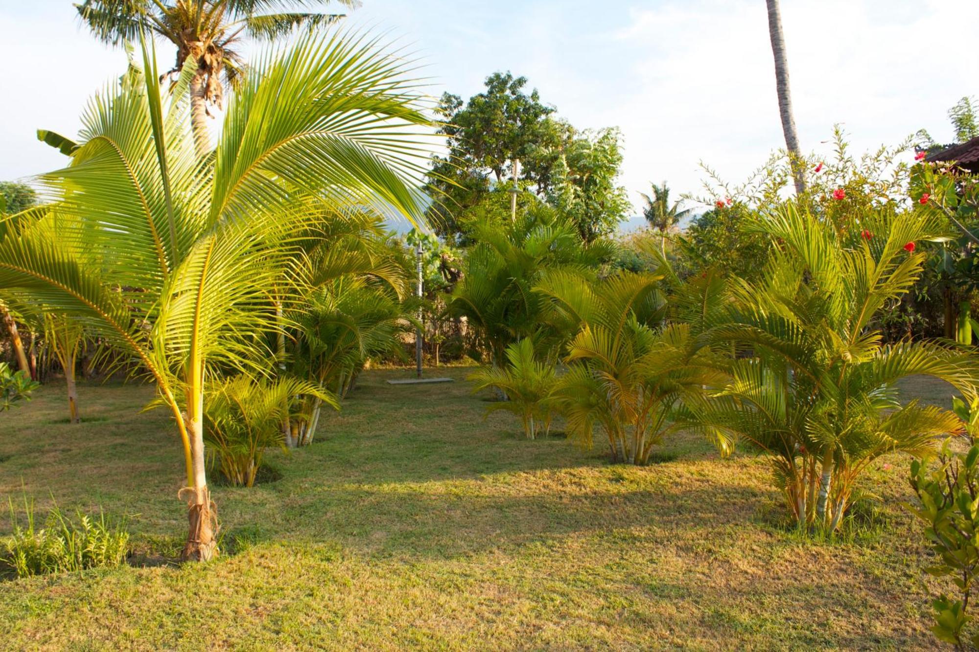 Bali Oase Resort Pemuteran  Exterior photo